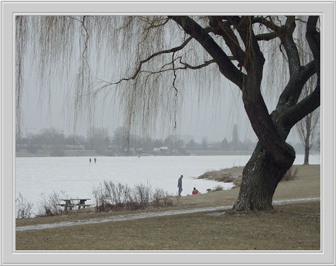 photo "Old Danube" tags: travel, Europe