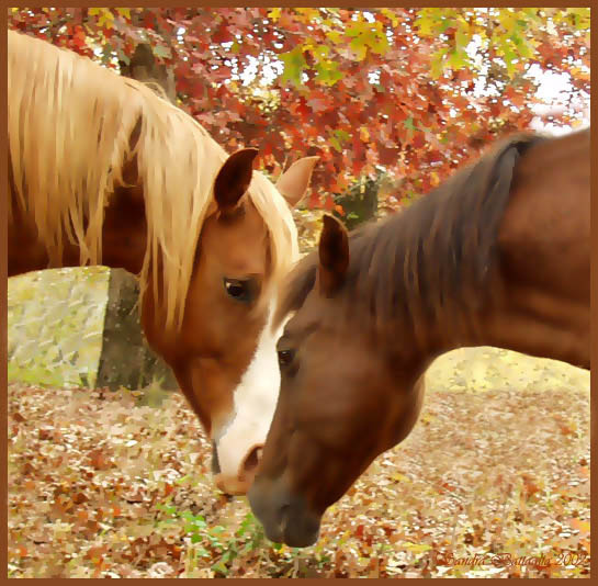 photo "Hard Day at the Office, Dear?" tags: humor, nature, pets/farm animals