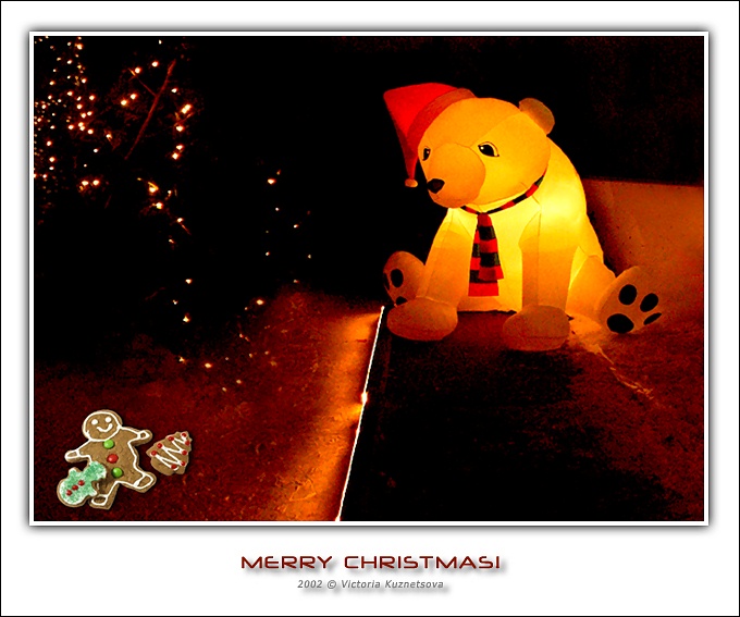 photo "Merry Christmas!!!" tags: misc., 