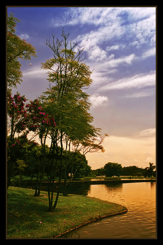 photo "Sacred Soil - Terrestrial Paradise" tags: nature, flowers