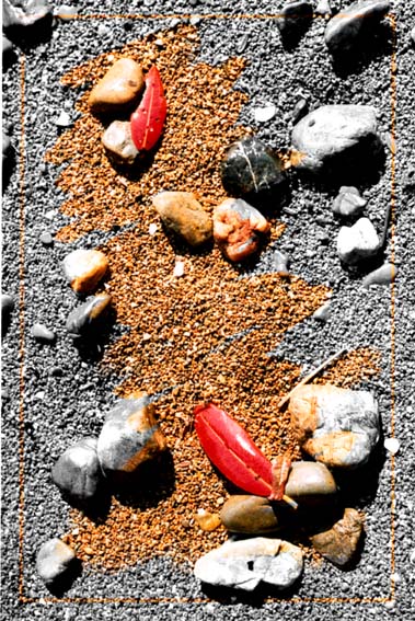 photo "The Memories Of The Summer Vacations" tags: macro and close-up, montage, 