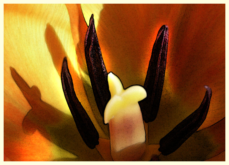 photo "tulip center" tags: nature, flowers
