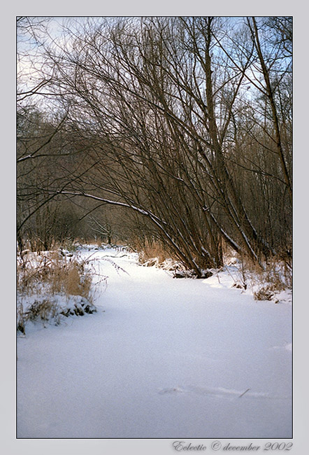 фото "зима в теплой гамме" метки: пейзаж, зима