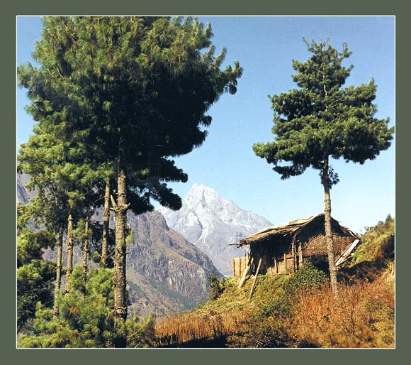 photo "Roof of the World" tags: landscape, travel, Asia, mountains