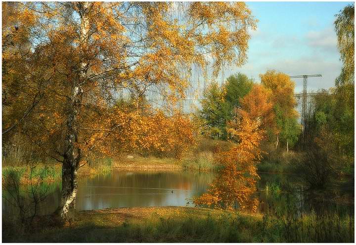photo "Simple autumn etude" tags: landscape, autumn