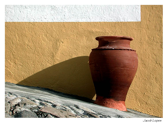 фото "the pot" метки: натюрморт, архитектура, пейзаж, 