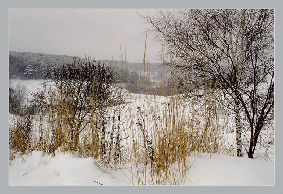 фото "Московская зима" метки: пейзаж, природа, зима