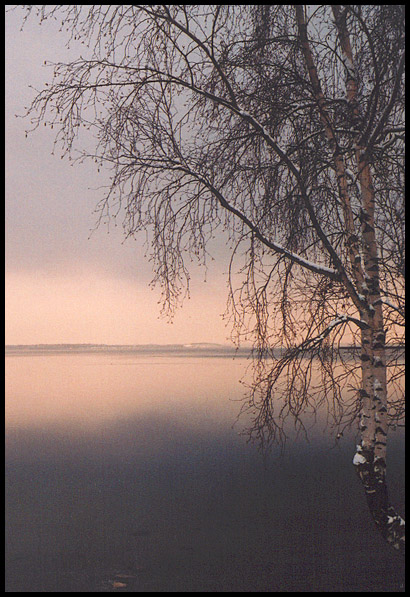 фото "У озера" метки: пейзаж, вода, зима
