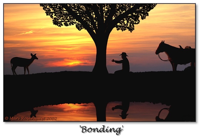 фото "Bonding" метки: пейзаж, природа, дикие животные, закат