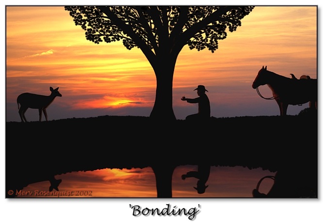 photo "Bonding" tags: landscape, nature, sunset, wild animals
