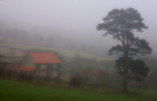 photo "Yorkshire mist" tags: misc., 
