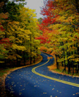 photo "LEAF PEPPERS CURVE" tags: landscape, autumn
