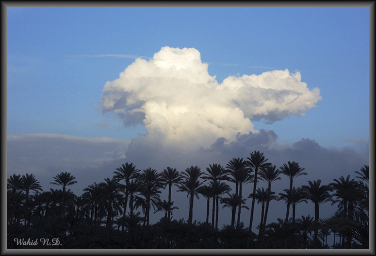 photo "Late afternoon" tags: landscape, clouds