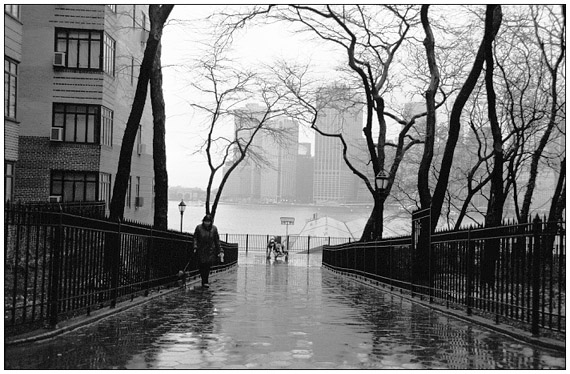 photo "New York & Fog" tags: misc., 