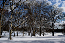 photo "WINTER AT BROOKDALE PARK" tags: landscape, winter
