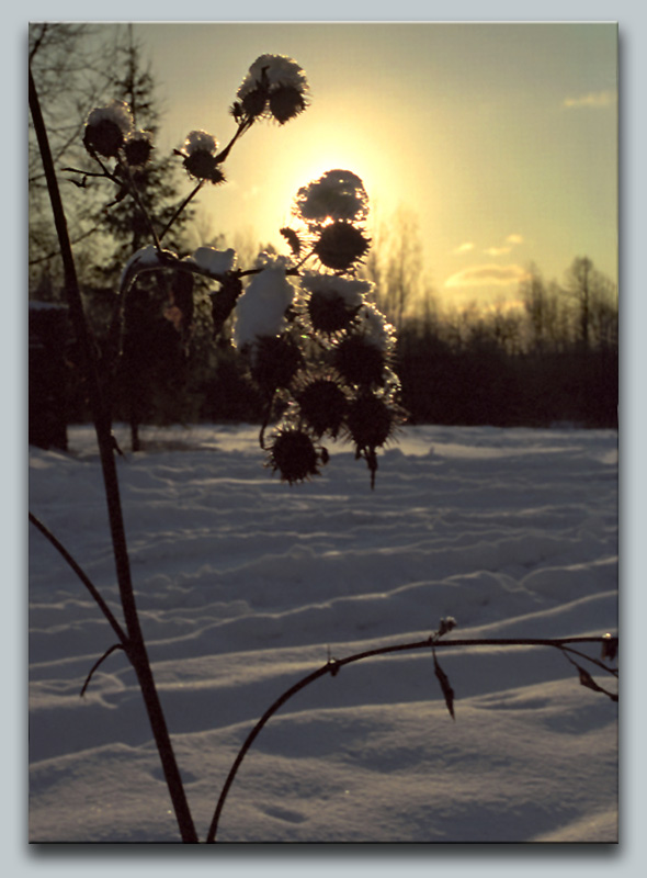 фото "Костромские пейзажи - 4" метки: пейзаж, зима