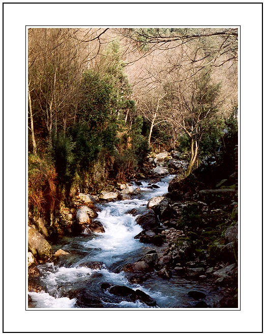 photo "The Creek that I love." tags: landscape, autumn