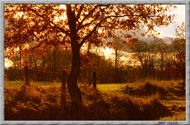 фото "***" метки: пейзаж, осень