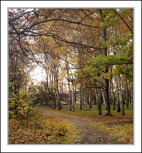 photo "FallWay" tags: landscape, autumn, forest