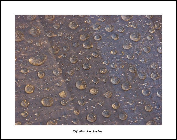 photo "After the rain II" tags: abstract, 