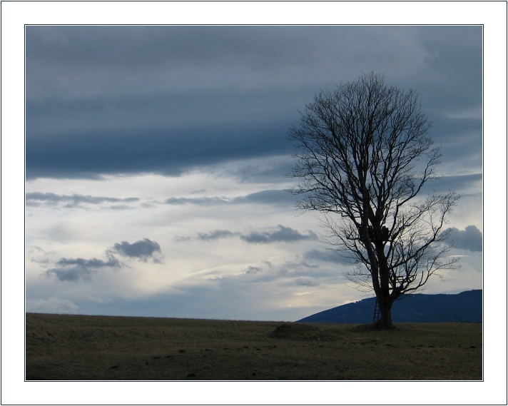 photo "*****" tags: landscape, winter