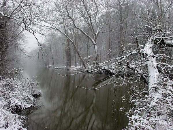 photo "When it`s snowing" tags: landscape, winter