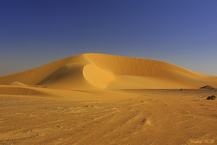 фото "Sand Dunes #7" метки: пейзаж, путешествия, Африка