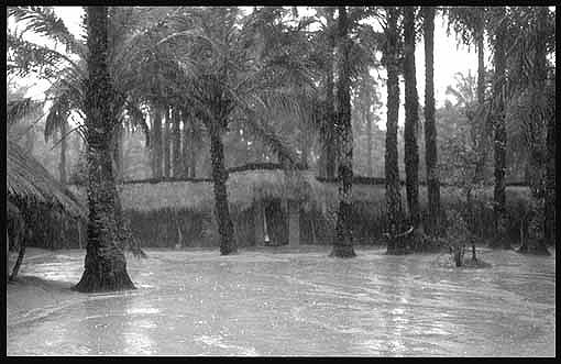 photo "West Africa 3" tags: reporting, 