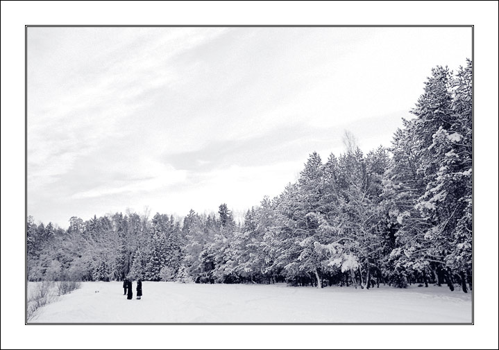 photo "-24c" tags: landscape, forest, winter