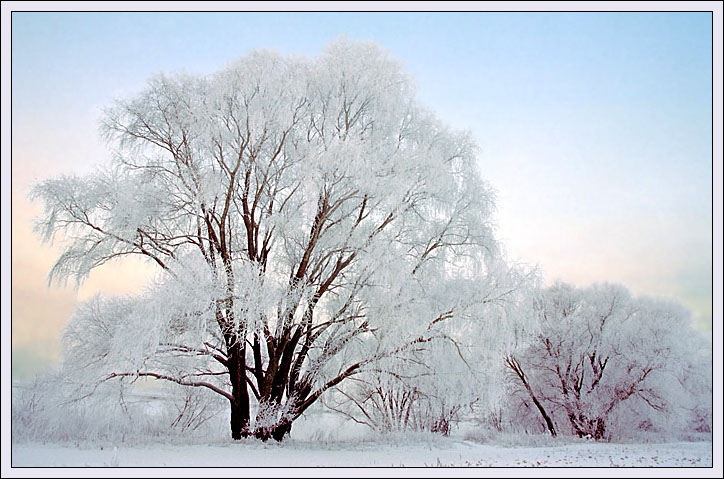 фото "Морозное утро" метки: пейзаж, зима