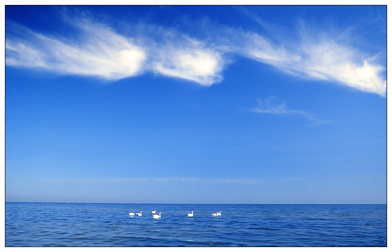 фото "Лебеди в море" метки: пейзаж, вода, облака