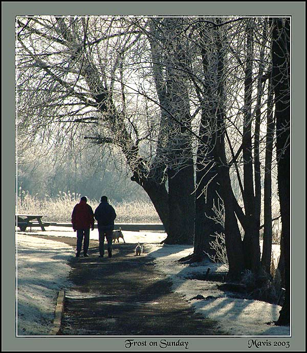 фото "Frost on Sunday" метки: природа, пейзаж, зима