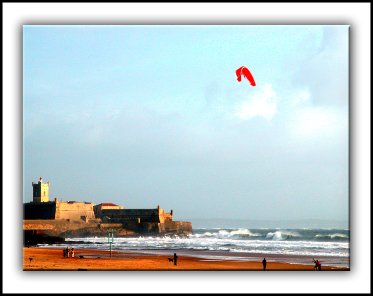 photo "Wing" tags: landscape, water