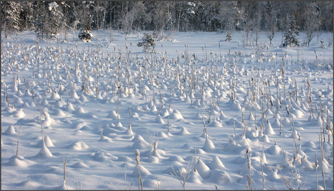 photo "Igloo City:)))" tags: landscape, winter