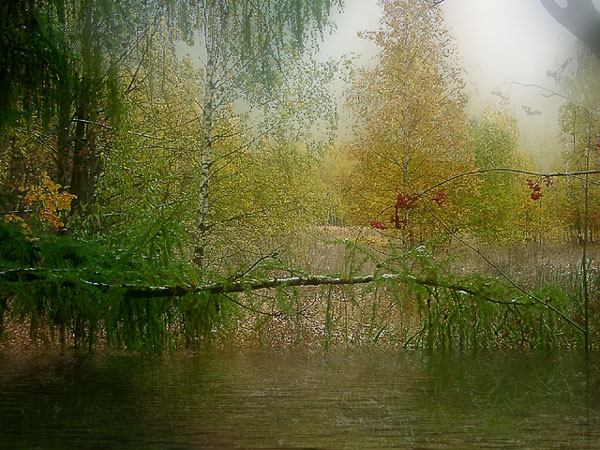 photo "The first snow" tags: landscape, autumn, forest