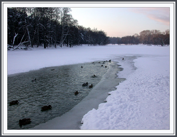 photo "Ice opening" tags: landscape, water, winter