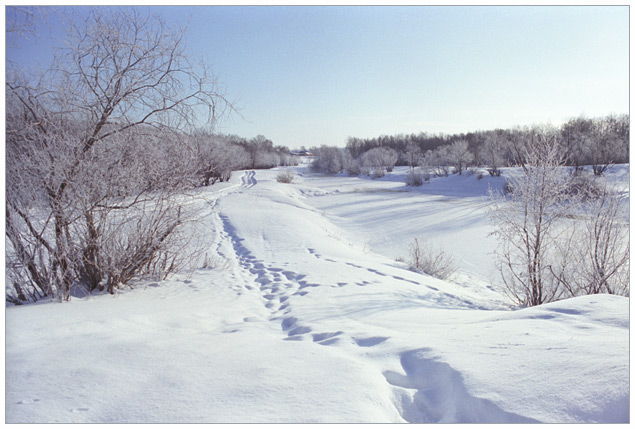 фото "без подписи" метки: пейзаж, зима