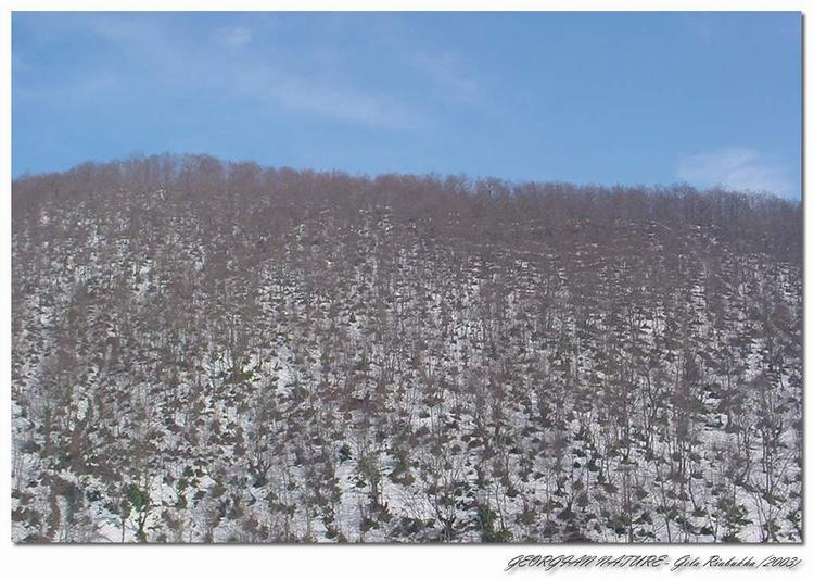 photo "Georgian Nature" tags: nature, landscape, mountains