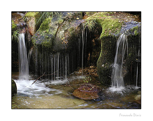 photo "Draining" tags: landscape, forest, water