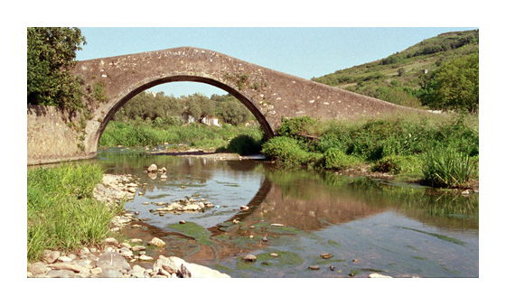 photo "My first reflex" tags: landscape, water