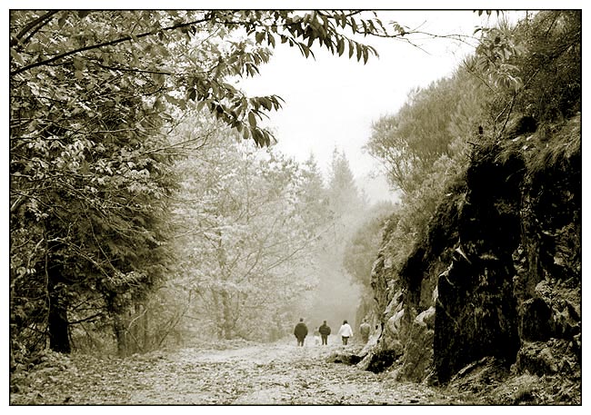 photo "Into the fog" tags: landscape, travel, Europe, autumn