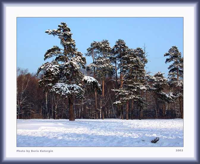 photo "Winter etude_1" tags: landscape, forest, winter