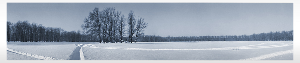 photo "Перевод текста" tags: landscape, winter