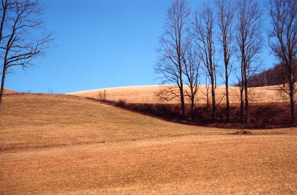 photo "Carolina Country" tags: landscape, winter