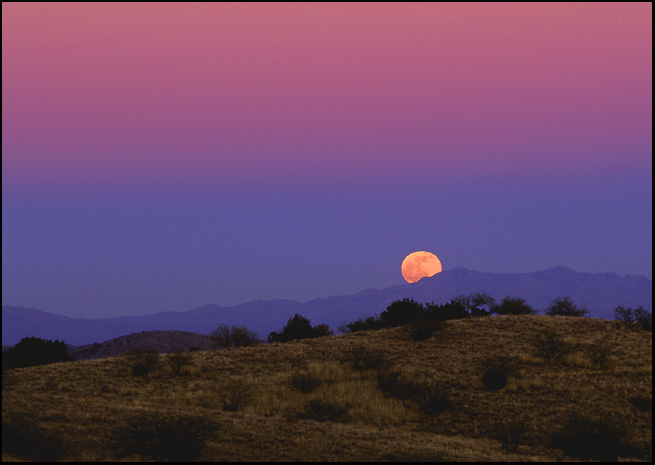 photo "Santa Rita Moonrise - Arizona" tags: landscape, travel, North America