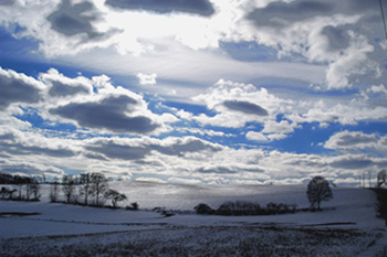 фото "WHITE ON WHITE" метки: пейзаж, зима