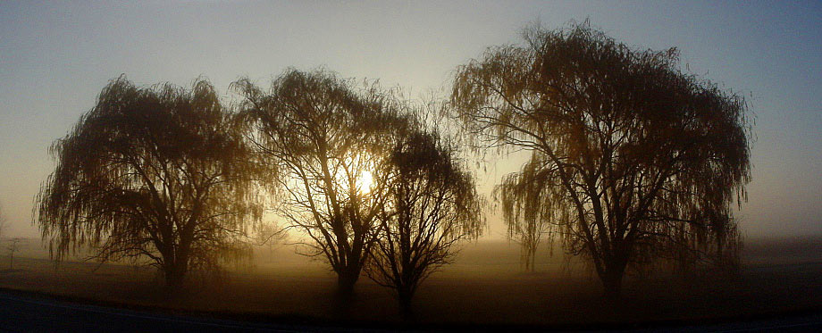 photo "November Morning" tags: landscape, sunset