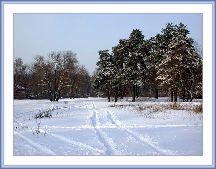 фото "Колея" метки: пейзаж, зима, лес