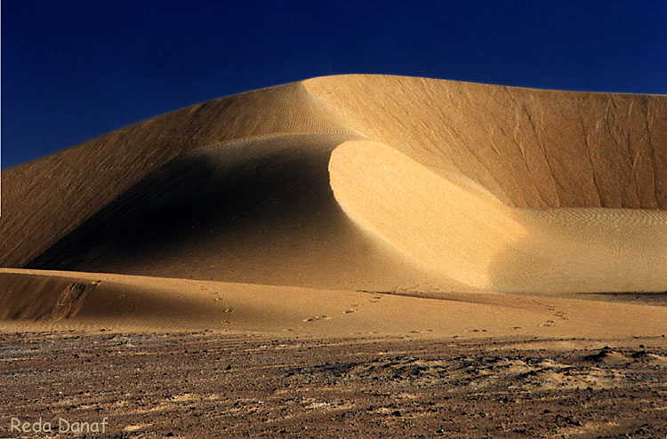 photo "Dunes" tags: travel, landscape, Africa