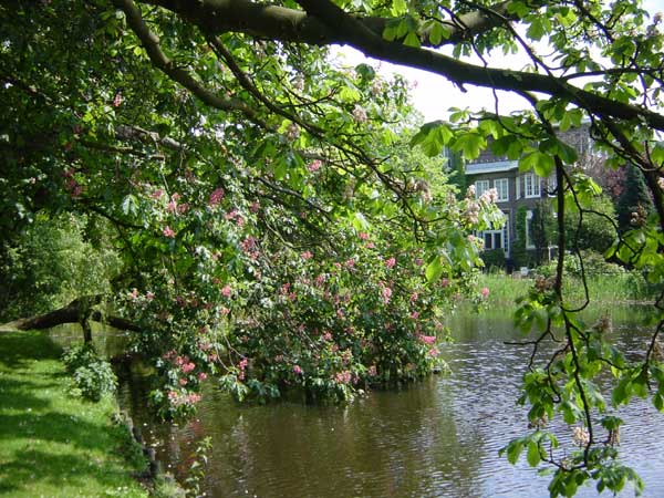 фото "Vondelpark" метки: разное, 